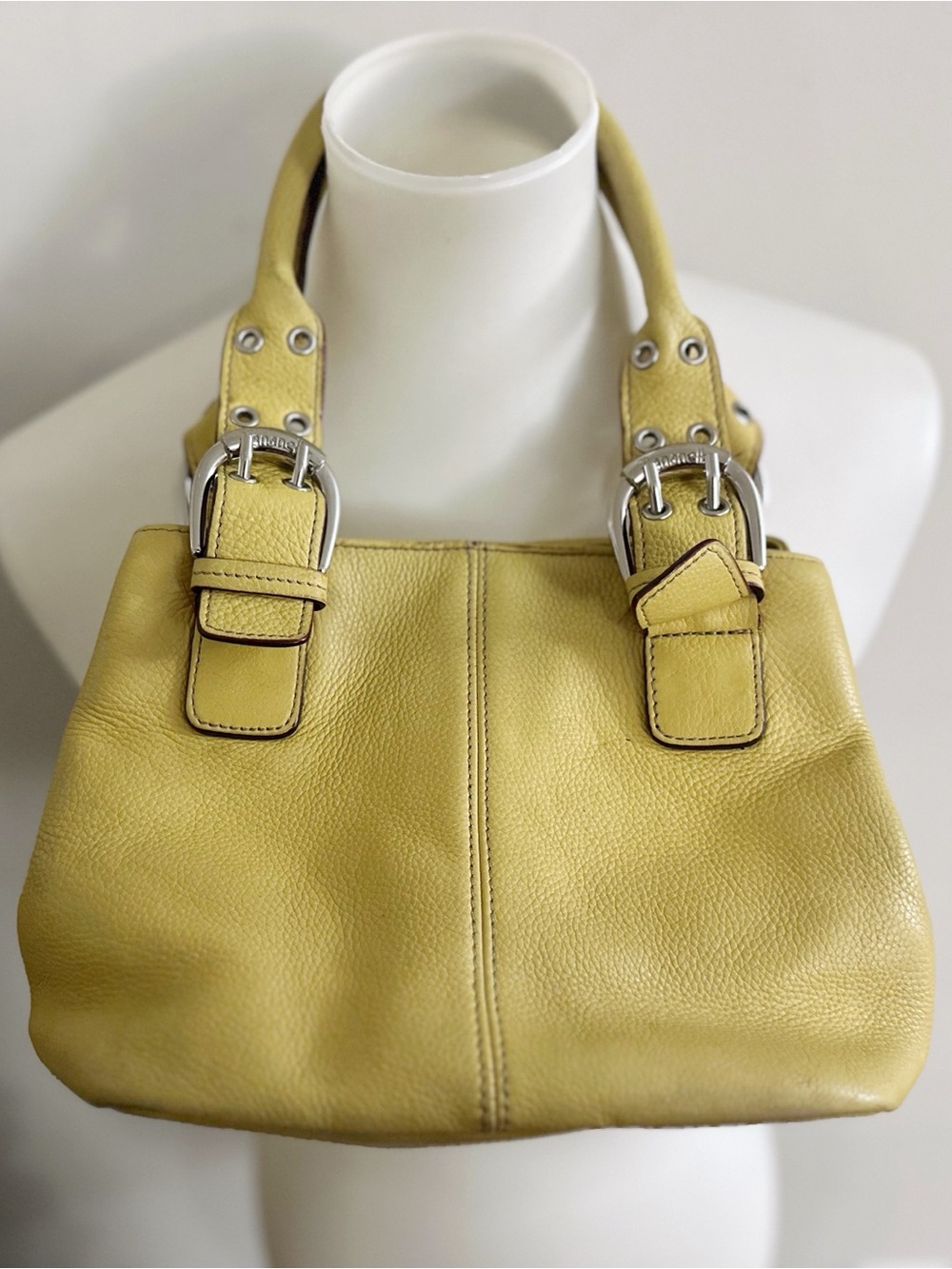 Vintage Tigananello 90s Y2K Pebbled Leather Shoulder Bag Mcbling Downtown Girl